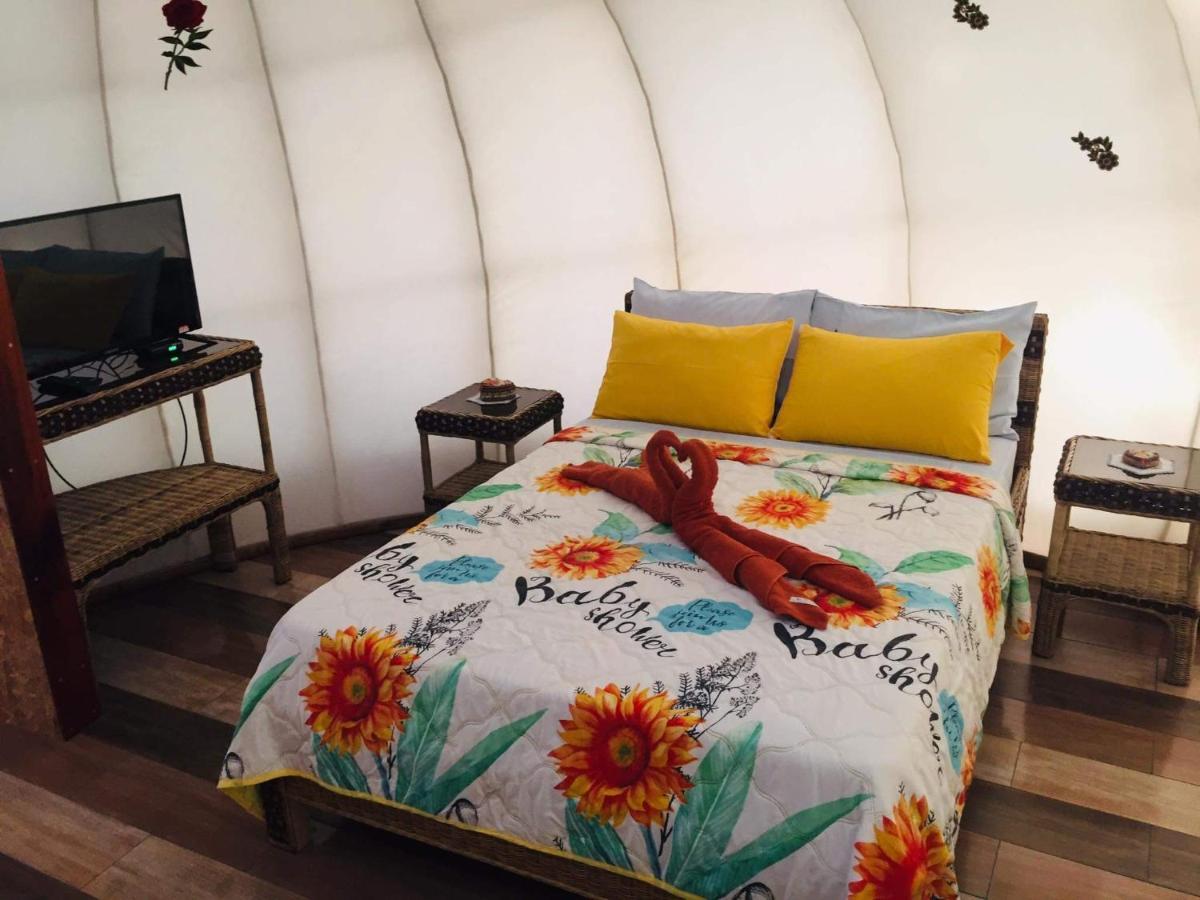 Shenanigans Glamping Resort Zamboanguita  Εξωτερικό φωτογραφία